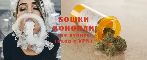 дживик Болохово