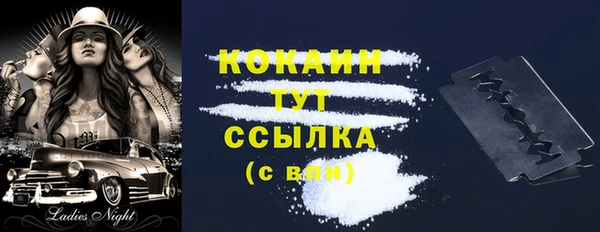 spice Болотное