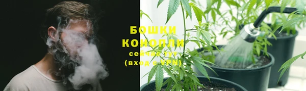 spice Болотное
