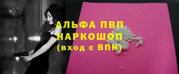 spice Болотное