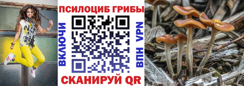 Галлюциногенные грибы прущие грибы  блэк спрут сайт  Кувшиново 